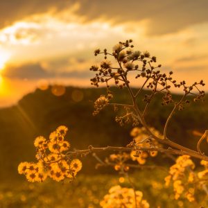 Photography for Outdoor Retailers