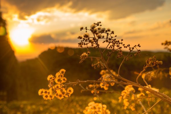 Photography for Outdoor Retailers